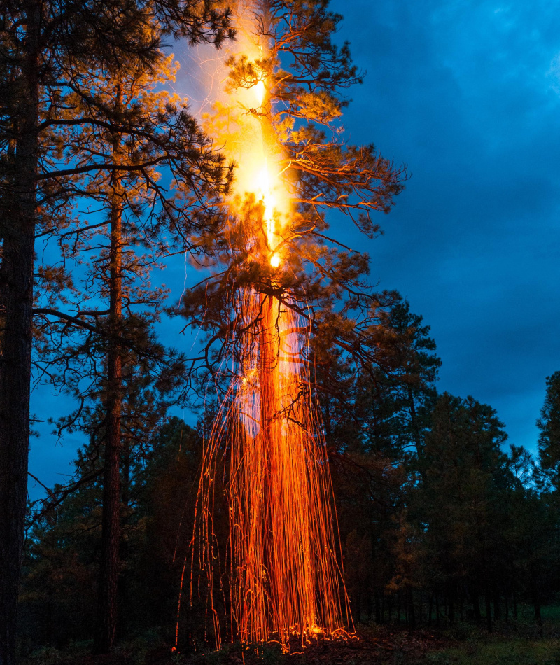 When Lightning Strikes | Reddit.com/EliasButlerPhotos