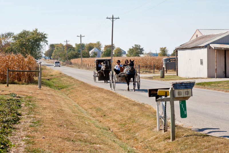 Indiana Commands You to Hold Your Literal Horses | Alamy Stock Photo