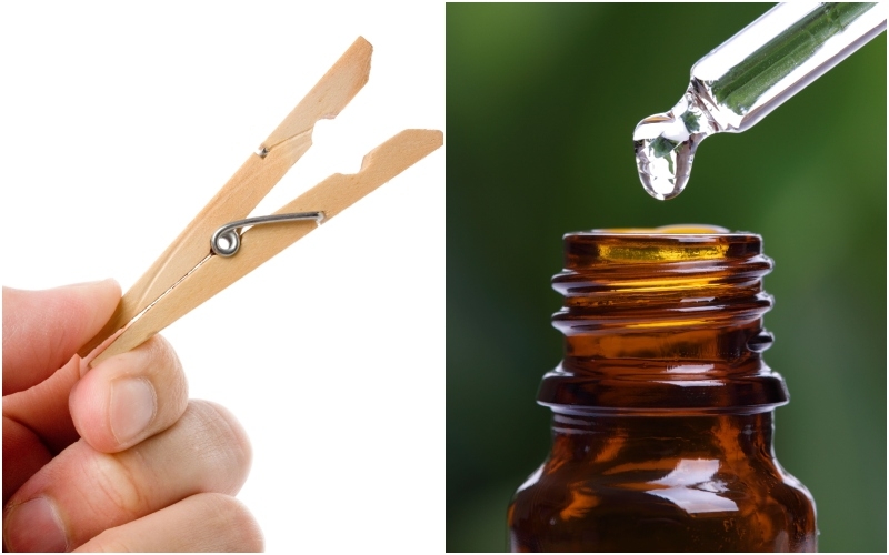 Wooden Clothes Pin and Essential Oils Make for a Great Car Freshener | Alamy Stock Photo by Feng Yu & Brian Jackson