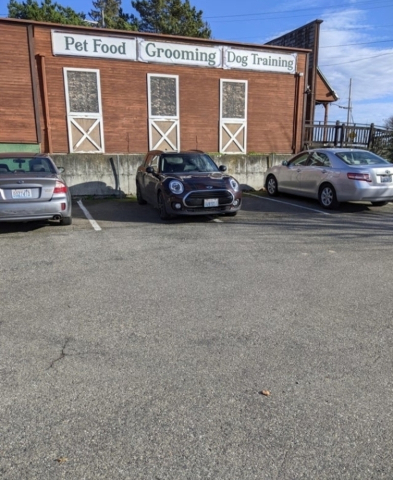 Talk About Accurate Parking | Reddit.com/chaus_nomi