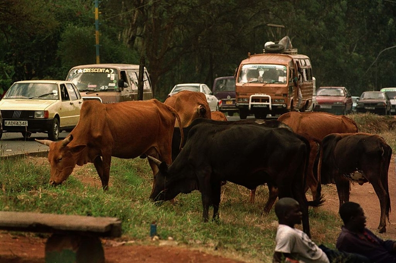 Nairobi-Nakuru Highway, Kenya | Getty Images Photo by Tyler Hicks/Liaison