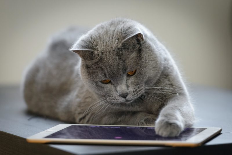 Screen Time | Alamy Stock Photo by Urmas Haljaste