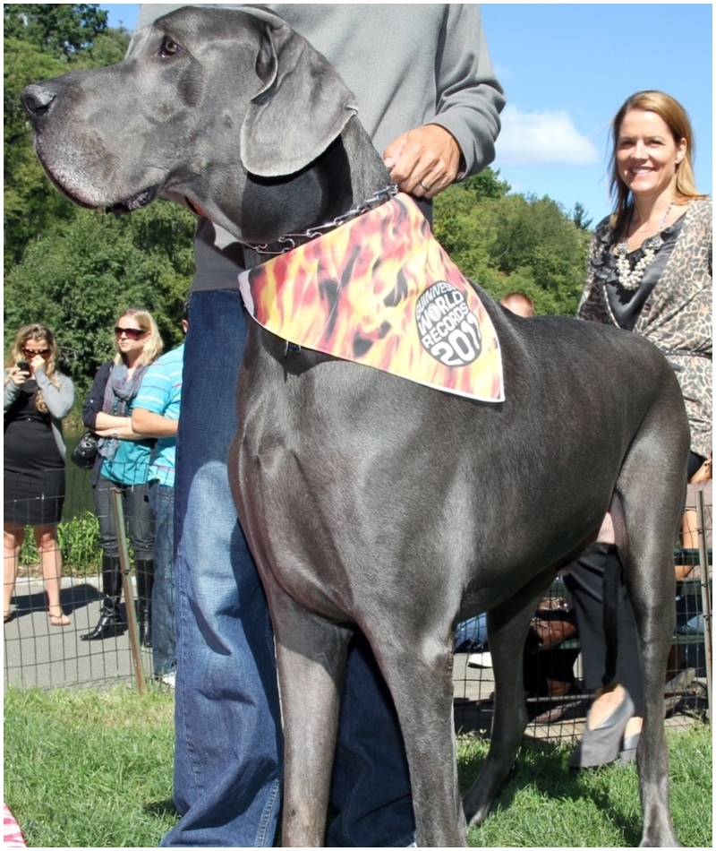 From Runt To 245 Pounds | Getty Images Photo by Taylor Hill