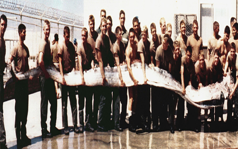 The Giant Oarfish Resembles A Sea Monster | Alamy Stock Photo