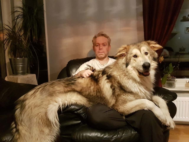 Lapdog | Imgur.com/Swedishbouldering