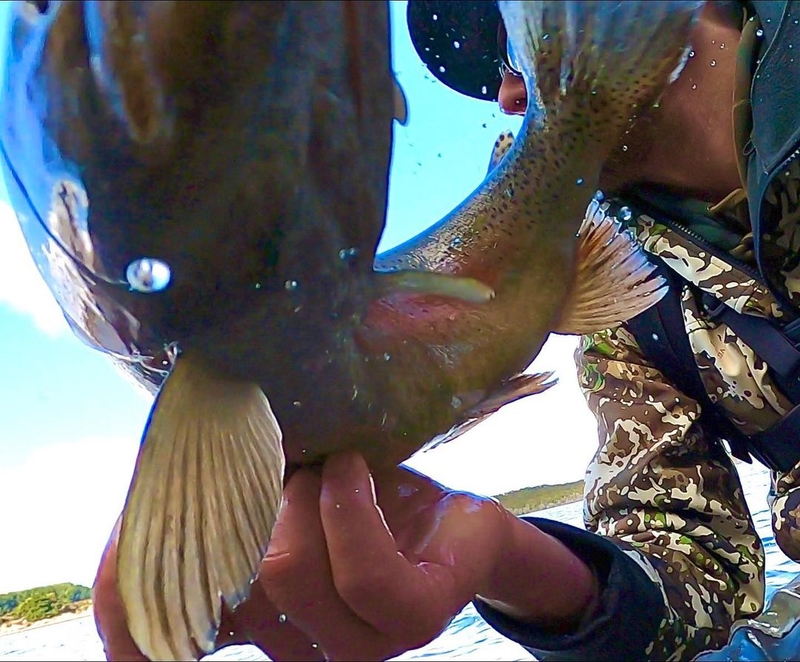 A Close-Up of the Scales | Instagram/@adriftfishing