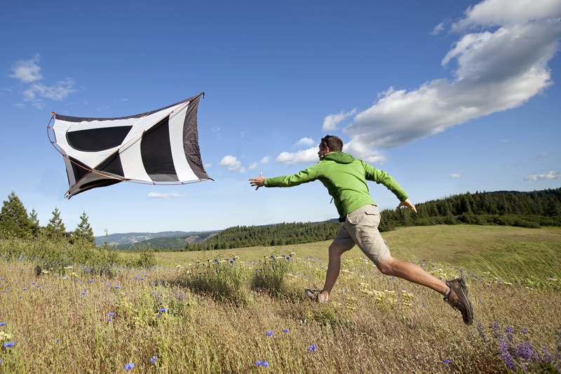 Gone With the Wind | Getty Images Photo by Jordan Siemens