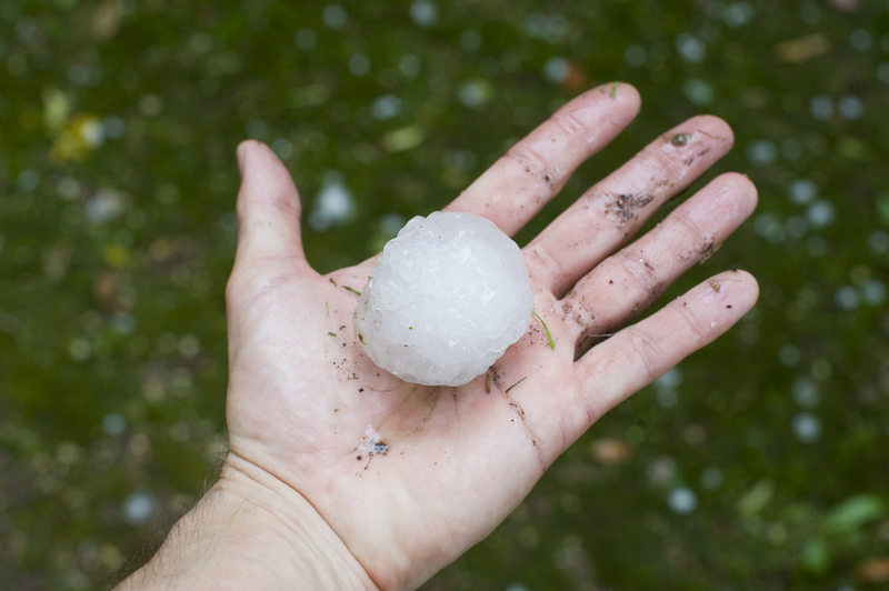 Granizo australiano | MarcelClemens/Shutterstock