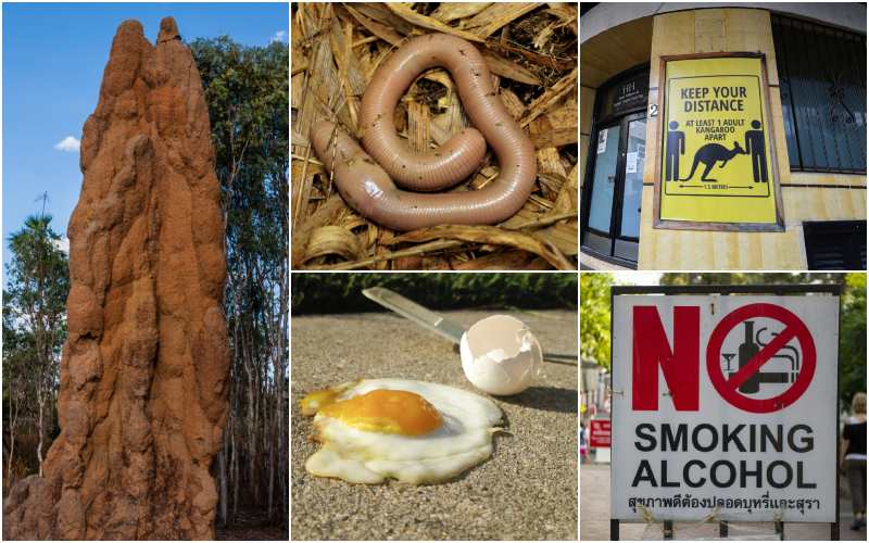 ¿Qué es lo que está pasando en este país? Más cosas que solo se pueden ver en Australia | Getty Images Photo by vdvornyk & Fabian von Poser & James D. Morgan & Lori Greig & kb79