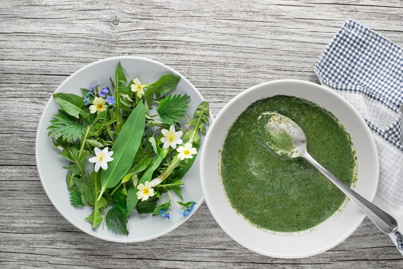 Dandelion's Soup | Alamy Stock Photo by Dušan Zidar 