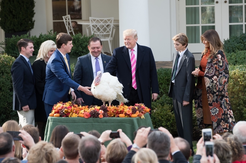 Turkey Pardons | Alamy Stock Photo by White House Photo