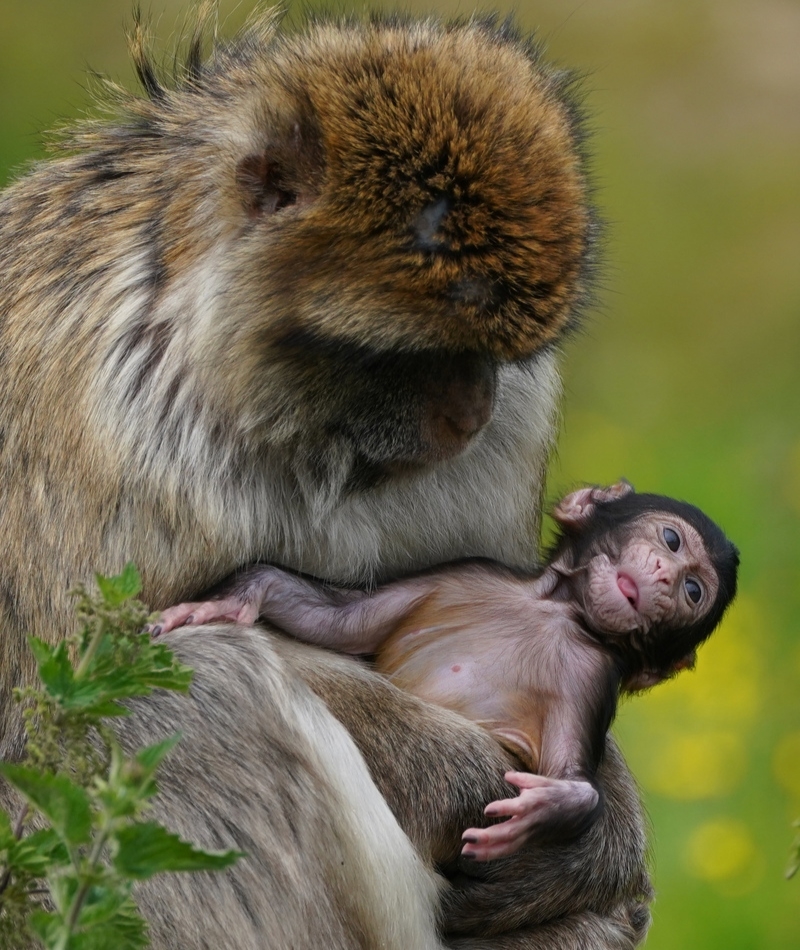 Looking Around | Getty Images Photo by Andrew Milligan/PA Images