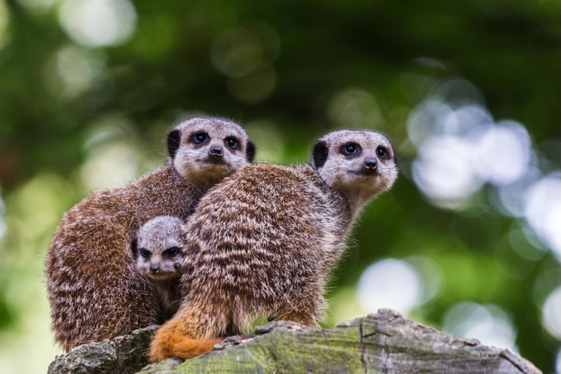 But I Want to Go That Way! | Alamy Stock Photo by Jason Wells