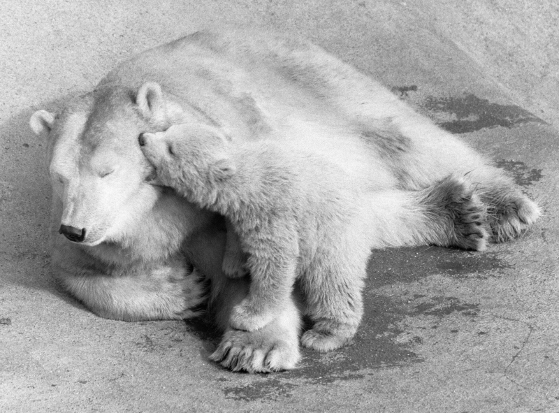 Mom, Are You Up? | Getty Images Photo by George Greenwell/Mirrorpix