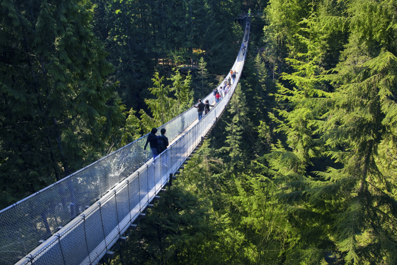 Puente colgante de Capilano, Canadá | Alamy Stock Photo by Bill Heinsohn