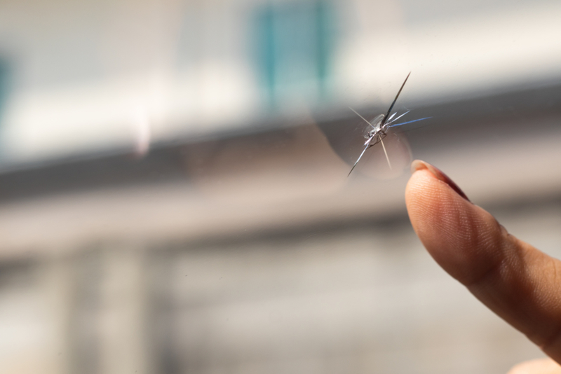 Réparez les trous dans le pare-brise avec du vernis à ongles | Shutterstock