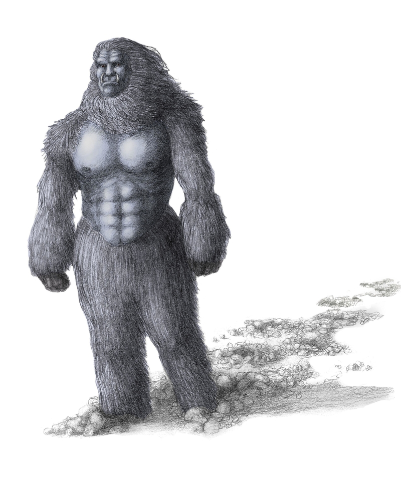 Yeti | Alamy Stock Photo