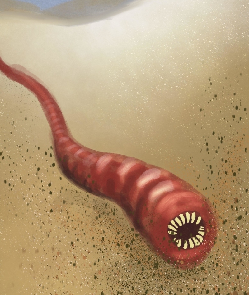 Mongolian Death Worm | Alamy Stock Photo