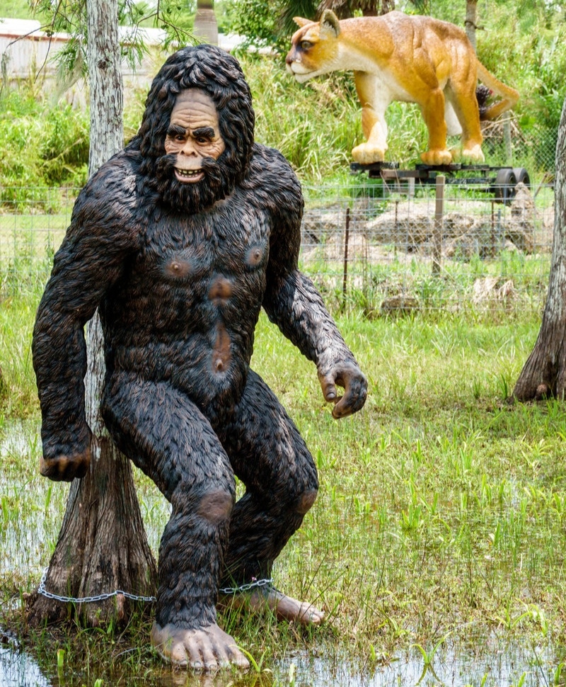 Skunk Ape | Alamy Stock Photo