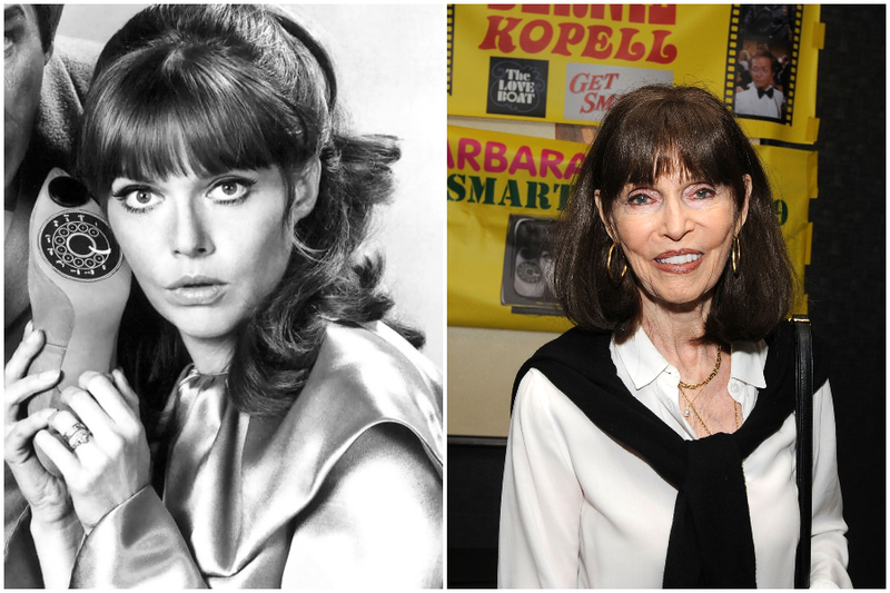 Barbara Feldon Nude Porn - Barbara Feldon - Blast From The Past: Women From Popular TV Shows & Movies  Part 3