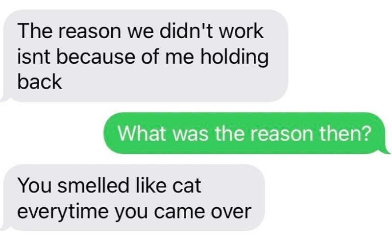 Cat Got Your Nose? | Instagram/@textsfromyourex