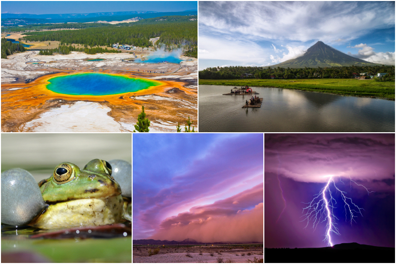 Sinais De Aviso Da Natureza De Que o Perigo Está Próximo | Shutterstock & Alamy Stock Photo by Panther Media GmbH/Burkhard & John Sirlin & RooM the Agency/DeepDesertPhoto