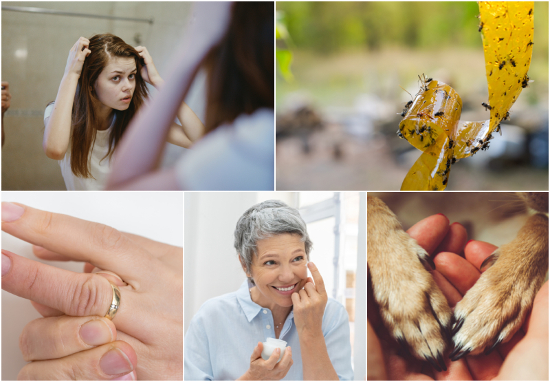 La vaseline : Voici tous nos conseils beauté et nos astuces pour économiser ! | ViChizh/Shutterstock & Room 76/Shutterstock & andriano.cz/Shutterstock & Ground Picture/Shutterstock & PinkCoffee Studio/Shutterstock