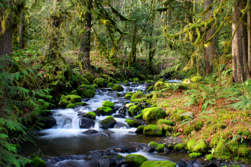 If a Creek's Waters Change Drastically, It Could Be a Landslide | Alamy Stock Photo by Robert C Paulson Jr