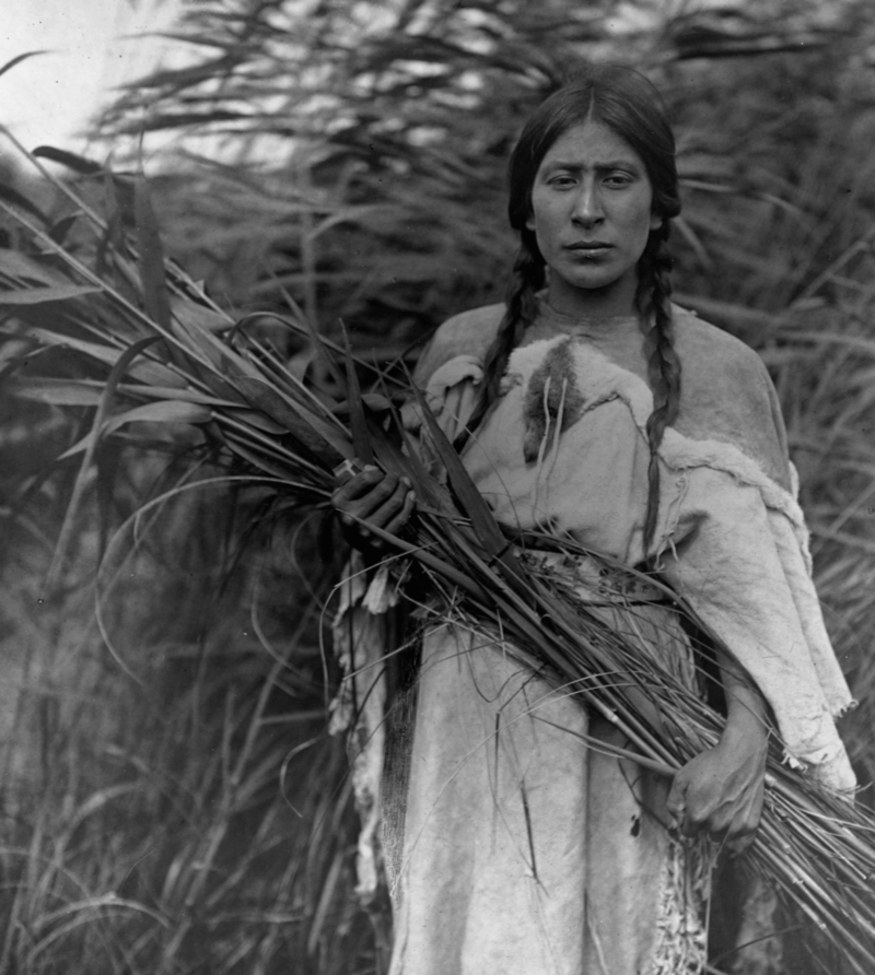 El recoletor de Carrizo | Getty Images Photo by Edward S. Curtis/Library of Congress/Corbis