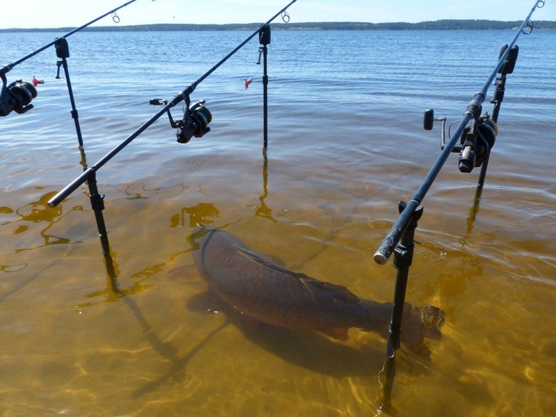 Pêcher n'est pas simple | Imgur.com/I3XmNS0