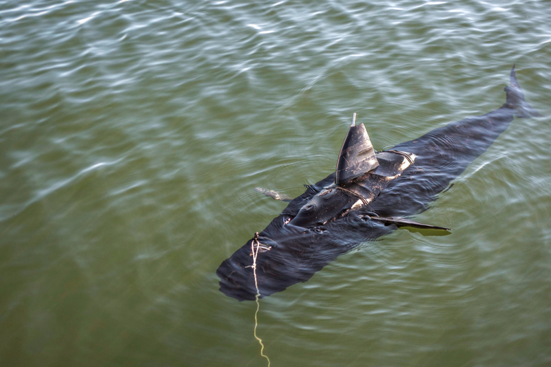 DROHNE FANGT ROBOTERHAI EIN | Alamy Stock Photo by US Navy Photo 