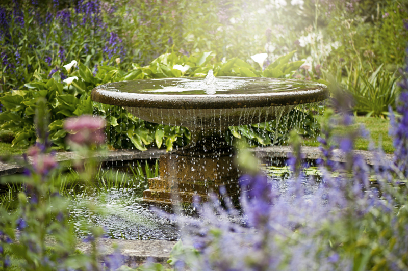 Rendez l'eau de votre bassin parfaite | Getty Images Photo by Jacky Parker Photography