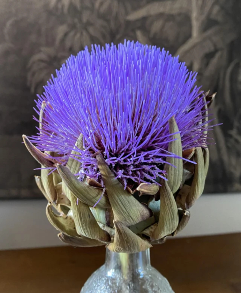 What if You Don’t Eat an Artichoke? | Reddit.com/buddymurphy2020