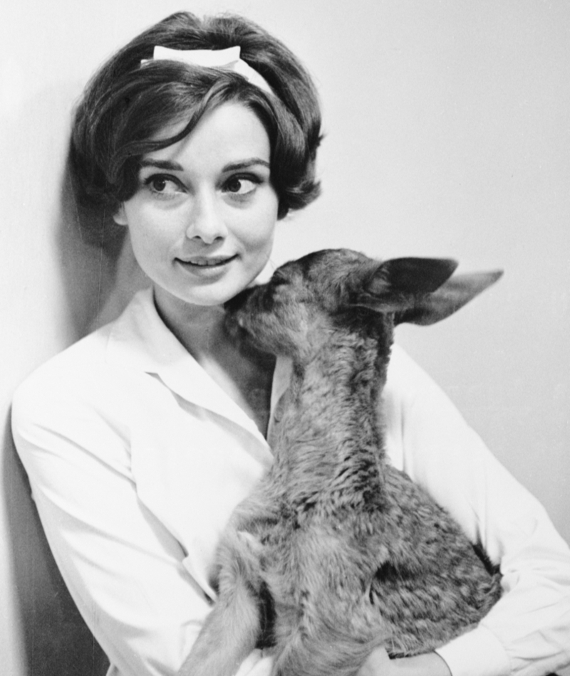 La mère de Bambi ? Mademoiselle Audrey Hepburn faisant du shopping avec sa biche domestiquée (1958) | Getty Images Photo by Bettmann