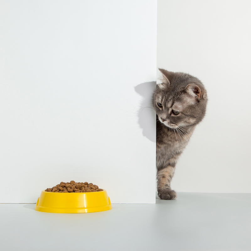 Tirando a comida da tigela | Shutterstock Photo by plutmaverick