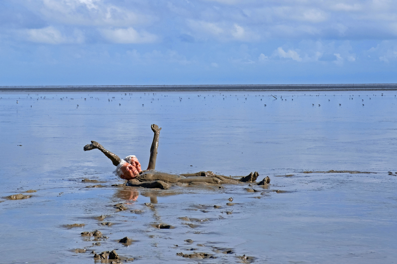 Tan felices como cerdos en el estiércol | Getty Images Photo by Marica van der Meer/Arterra/Universal Images Group