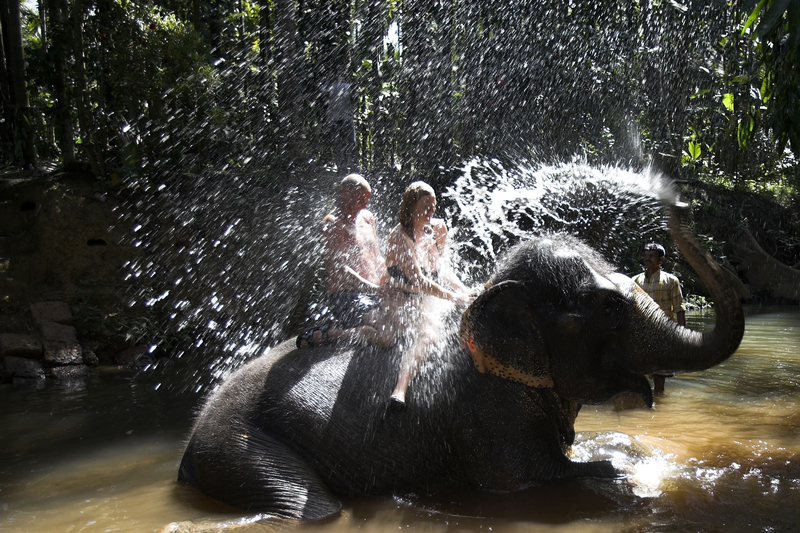 Ducha de elefantes | Getty Images Photo by Andrew Woodley/Education Images/Universal Images Group