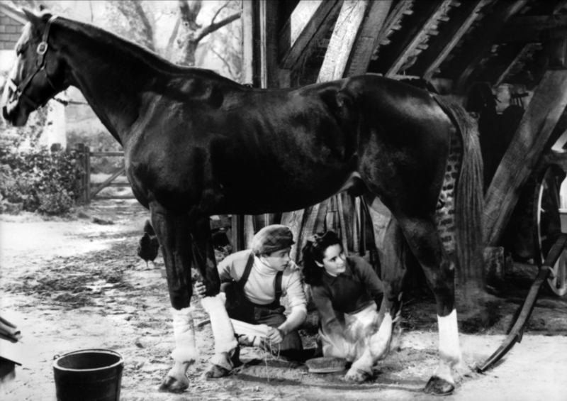 The Horseback Riding Incident | Alamy Stock Photo by Allstar Picture Library Ltd