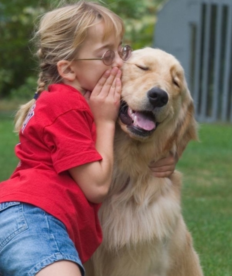 Guardián de secretos | Facebook/@Caninesforkids