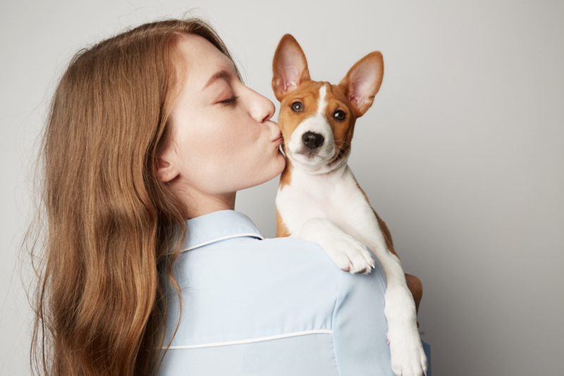 Besitos para los perritos | Shutterstock