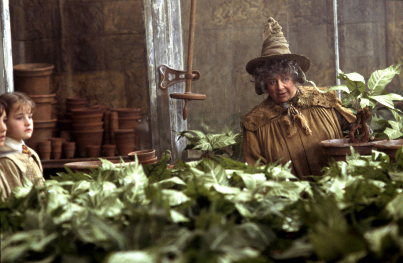 Miriam Margolyes como Pomona Sprout | MovieStillsDB Photo by thankstome/Warner Bros