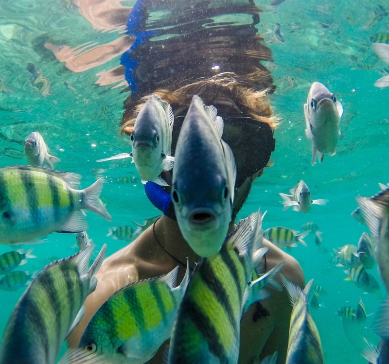 Um novo tipo de peixe | Shutterstock Editorial Photo by Fede Maiz Hohlberg/Solent News