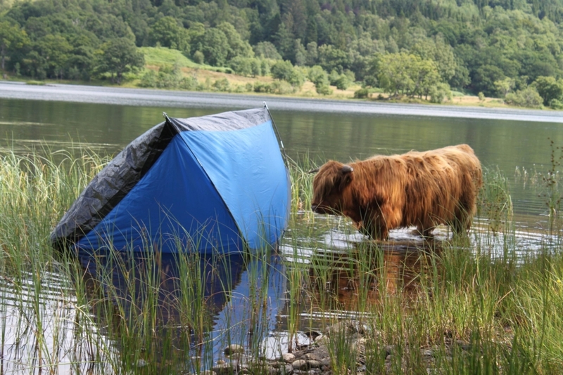 Acampando Na Escócia | heraldscotland