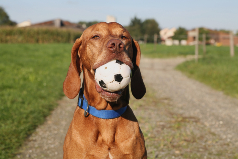 Olha Só Esse Bom Menino | Alamy Stock Photo