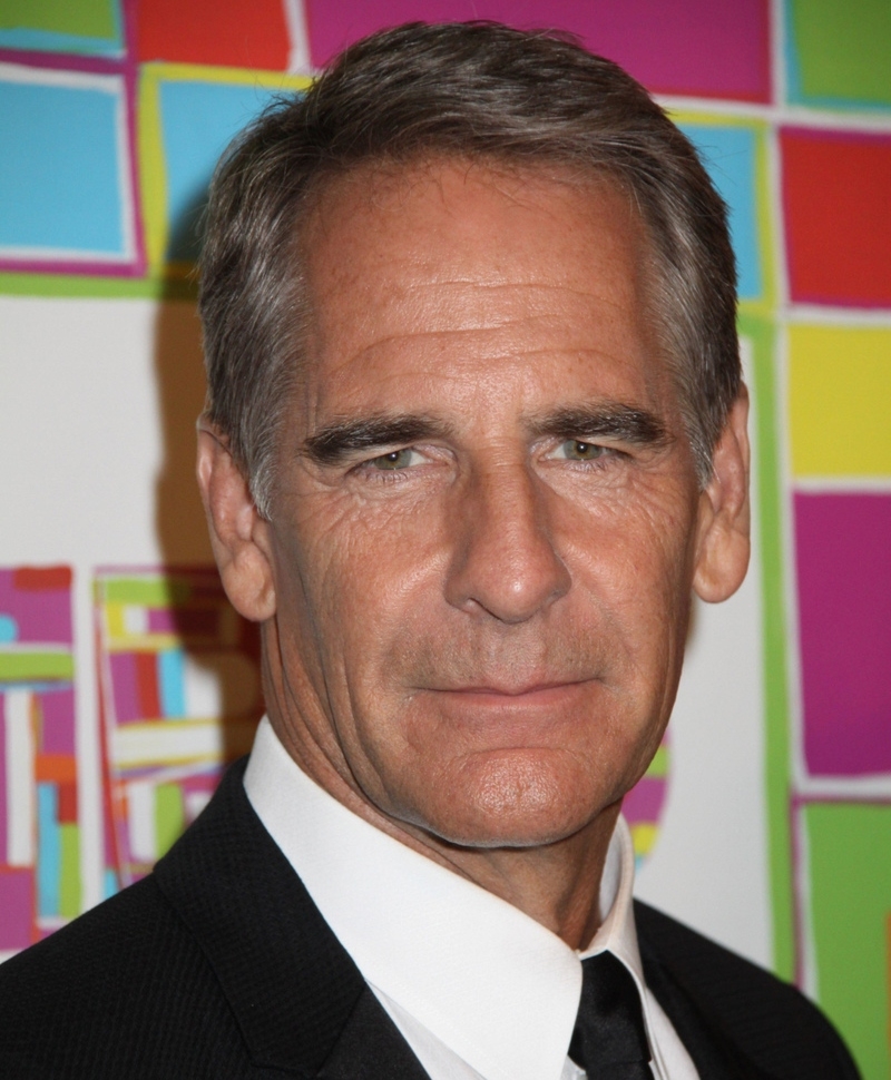 Scott Bakula Hoje | Alamy Stock Photo