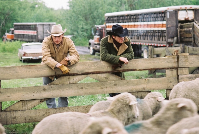 Las ovejas causaron problemas | Alamy Stock Photo