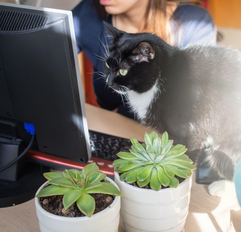 Nenhuma Palavra Era Necessária | Alamy Stock Photo by Natalia Semkina 