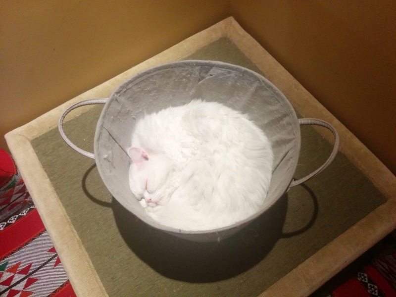 Fluffy Flour | Imgur.com/3K2kL2W