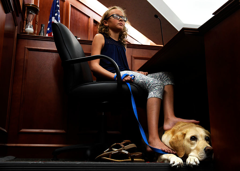 Este Golden Retriever ajuda jovens vítimas durante julgamentos | Getty Images Photo By Joe Amon/The Denver Post