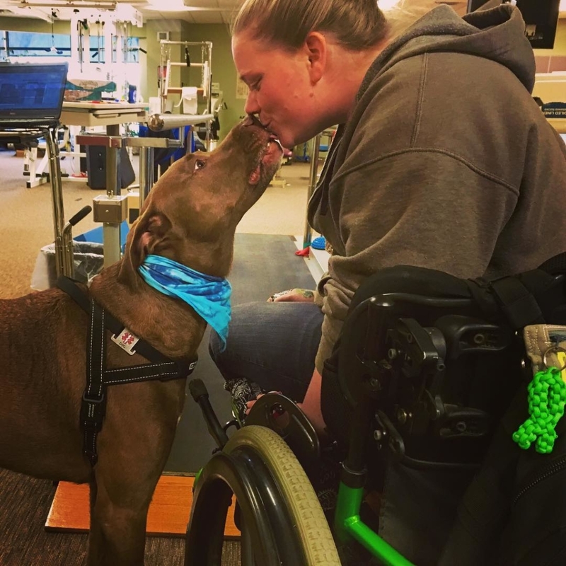 Pitbull apoia o pescoço da dona durante convulsões | Instagram/@servicedogcolt